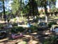 El Cementerio de Nios